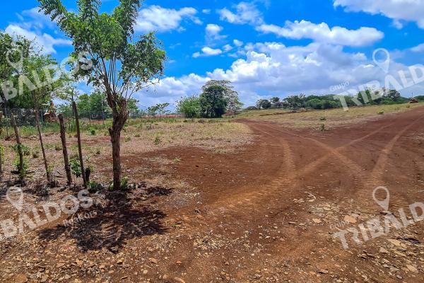 Se vende terreno en la mitra, peña blanca