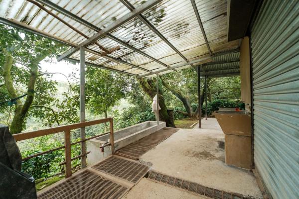 Finca de café y aguacate de boquete con vistas al volcán barú