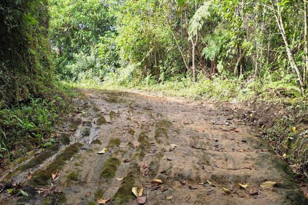 96.10 hectare in boquerón, las monjas
