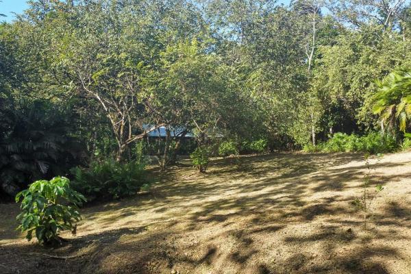 Cambutal lush property for sale near town