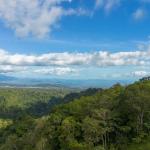 22 hectáreas con vistas al arroyo y a la montaña