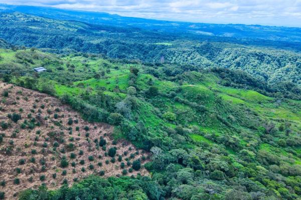 55.74 hectares of paradise in the mountains