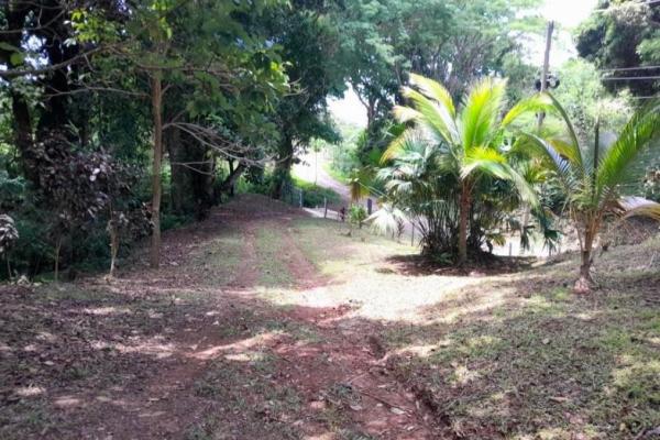 3+ ha in capira