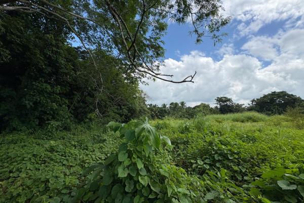 +9 hectares of flat beachfront land for sale