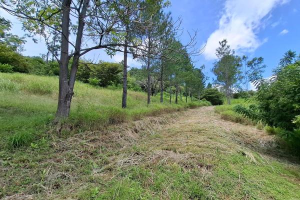 Chame/bejuco land for sale