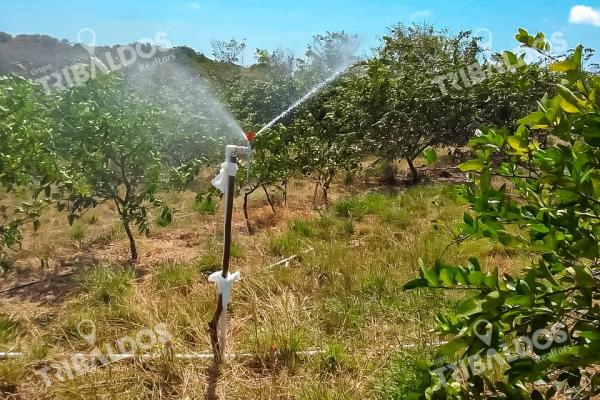 Venta de finca en antón cloclé