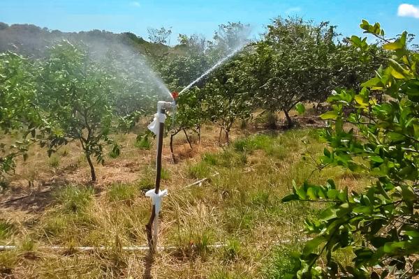 Venta de finca en antón, coclé