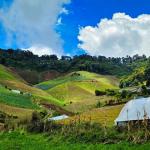 Finca agrícola en venta – cerro punta, chiriquí
