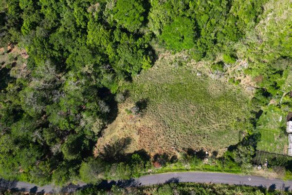 Mountain sanctuary: serene lot with hillside charm