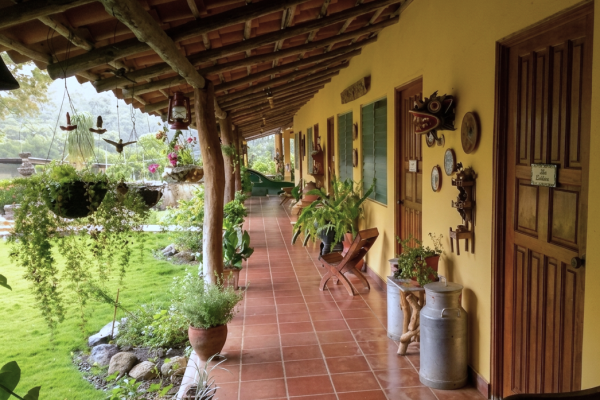 Farm in san carlos