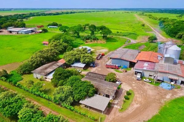 Operating rice farm for sale