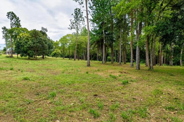 Se vende terreno de 1.9 hectáreas en potrerillos arriba