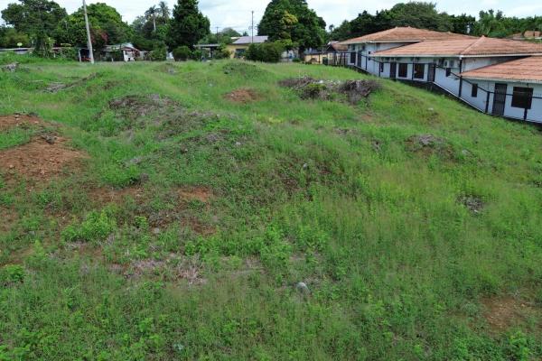Commercial lot for sale in david