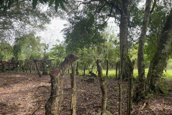 Three plots of land for sale near dolega, boquete