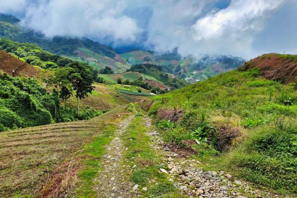 Finca agrícola en venta – cerro punta, chiriquí