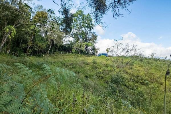 22 hectares with creek and mountain views