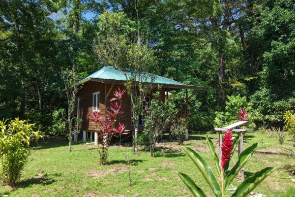 Retiro de finca de cacao de 14 hectáreas en tierra oscura