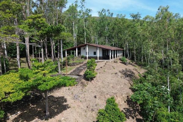 Amazing property for sale with private waterfalls