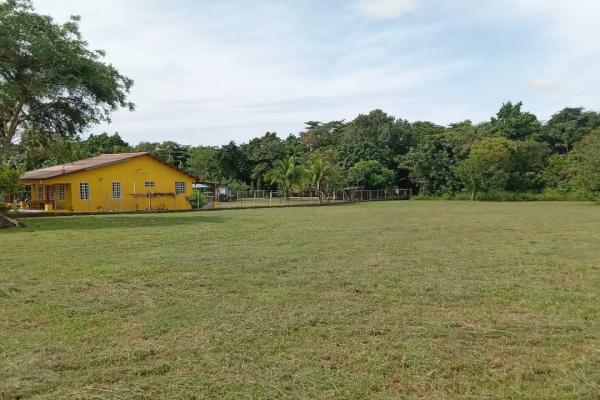 Terrenos en el espino de san carlos