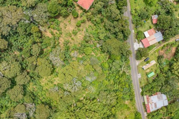Flat coffee land with mountain views in palmira