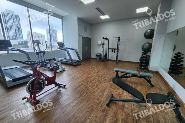 Venta de apartamento en ph alai, vía españa