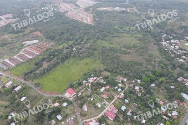 Venta de terreno para desarrollo de casas en arraijan
