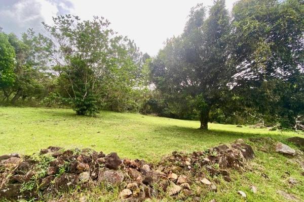 Mountain finca in chica