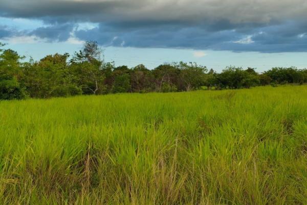 Se vende lote de terreno de 2.5 hectáres en el retiro, antón, coclé