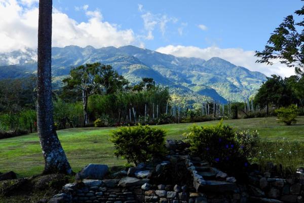 Finca campestre con múltiples edificaciones en palmira