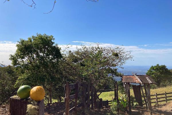 Cattle farm or private retreat