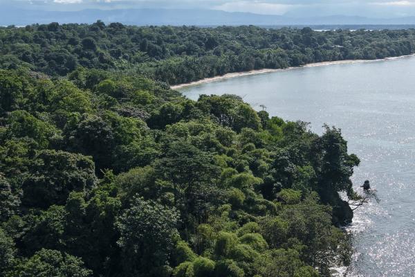 Propiedad boscosa frente al mar de 2,4 hectáreas en drago