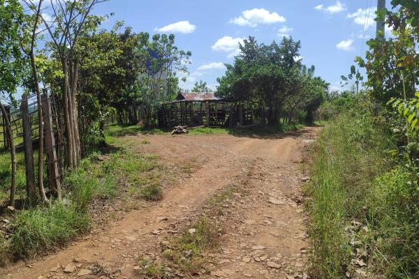Investor opportunity: high-growth area in veraguas