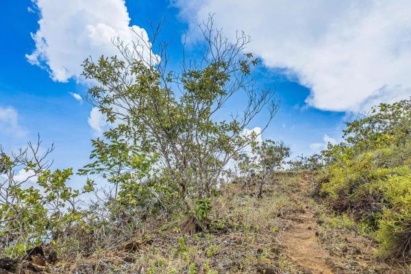 6-hectare hill property for sale in boca chica