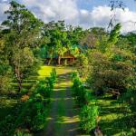 Charming cabin for airbnb business in boquete