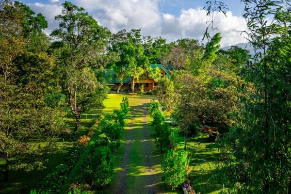 Cabaña encantadora para negocios en airbnb en boquete