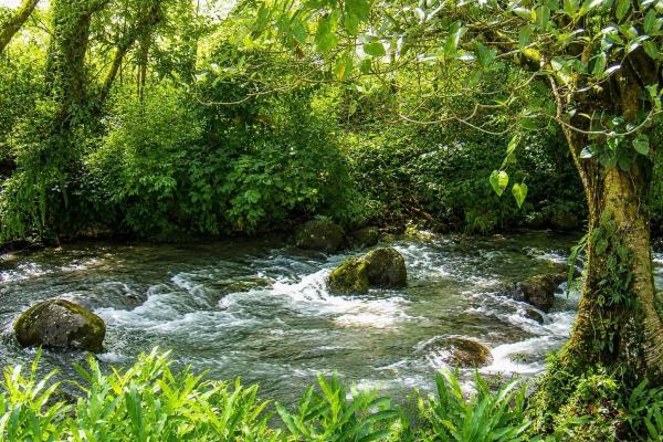 16,113 m² land with creek & mountain views, dolega