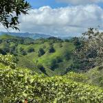 98.4 ha la primavera farm for sale - chiriqui