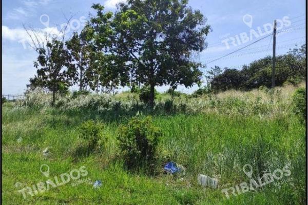 Land in front of panamericana in decameron
