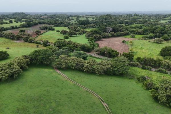 For sale land 9.8 hectares in las tablas