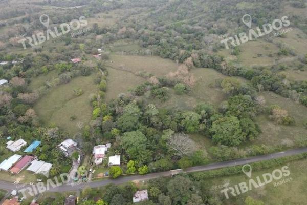 Finca en nuevo san juan , colón , 250 ha