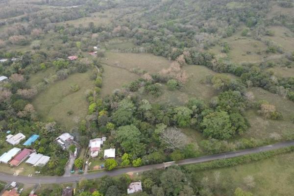 Finca en nuevo san juan , colón , 250 ha