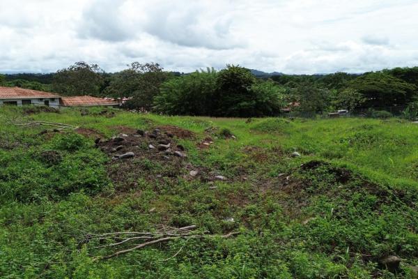 Commercial lot for sale in david
