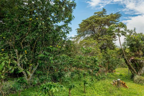 Terrenos de inversión en boquete, panamá