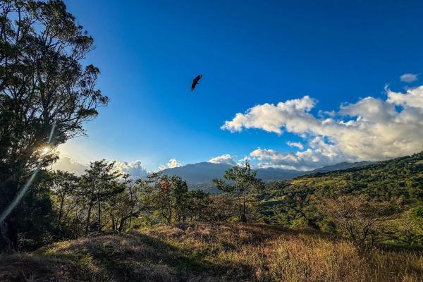 Lote con vista a la montaña en venta en jaramillo, boquete