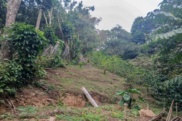 Cabaña con vistas al volcán barú en venta en jaramillo