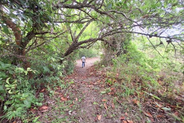 Finca en area de playa piedras gordas al mejor precio