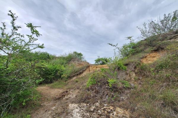 Finca en area de playa piedras gordas al mejor precio