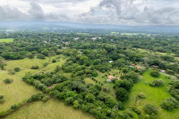 Se vende 2.02 hectareas planas en las lajas chiriqui