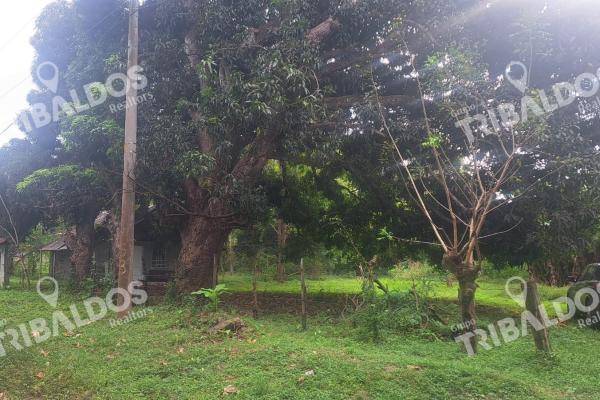 Venta de terreno en juan hombron con edificación