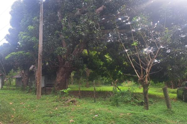 Venta de terreno en juan hombron con edificación